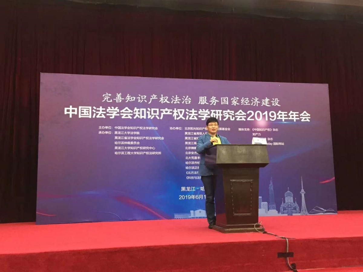 李扬教授在中国法学会知识产权法学研究会2019年年会上演讲